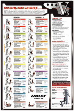 Hoist V3 Exercise Chart  Form
