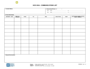 Hics 205  Form