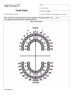 Tooth Chart Hca Wa  Form