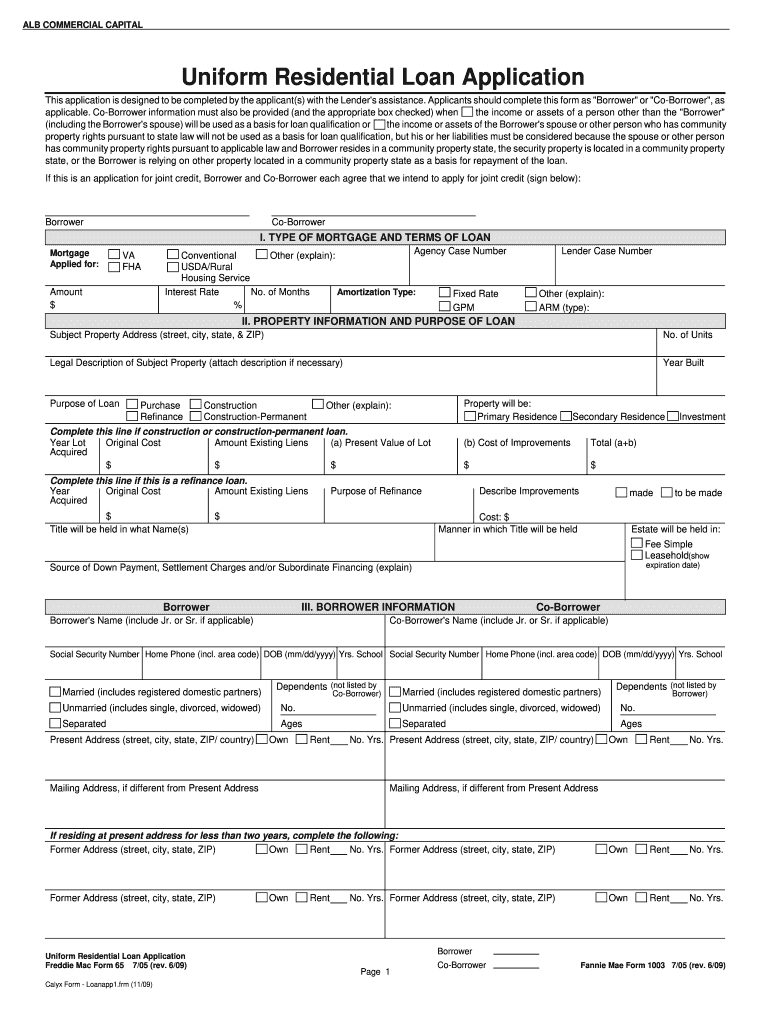 1003 Form