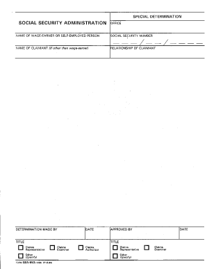 SPECIAL DETERMINATION Secure Ssa  Form