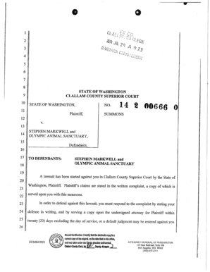 Summons and Complaint Form Washington State