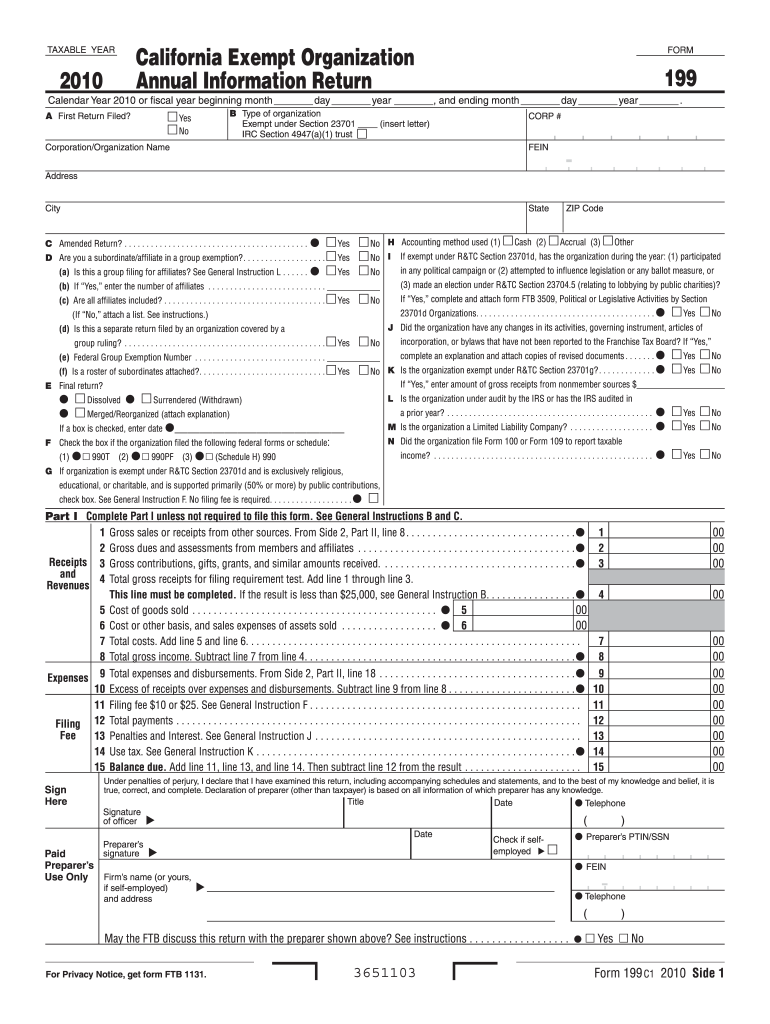  199 Form 2019