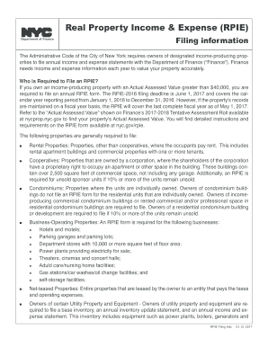 RPIE Filing Info NYC Gov  Form