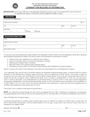 Ds451 Dmv Fax Form