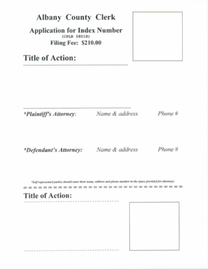 Albany County Clerk  Form