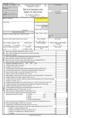 Ingresos De Corporaciones Hacienda Pr  Form