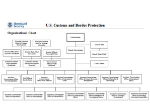 Cbp Organizational Chart  Form