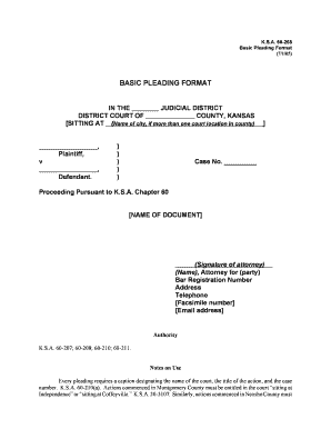  Pleading Format Sample 2005-2024