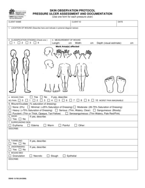  Skin Assessment Form 2006