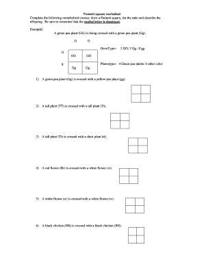 Punnett Square Template  Form