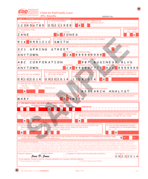 De 2501fp  Form