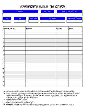Volleyball Team Template - Fill Out and Sign Template | signNow