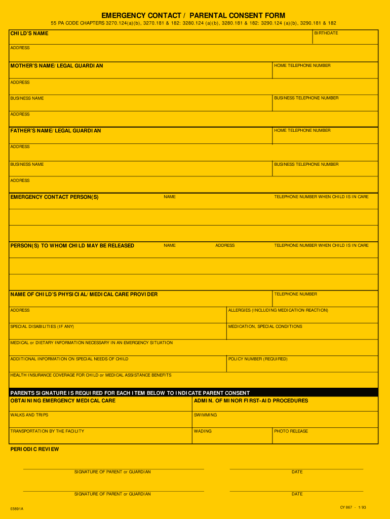  867 Form 1993-2024