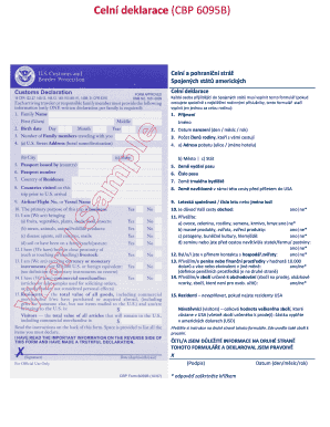 6095b  Form