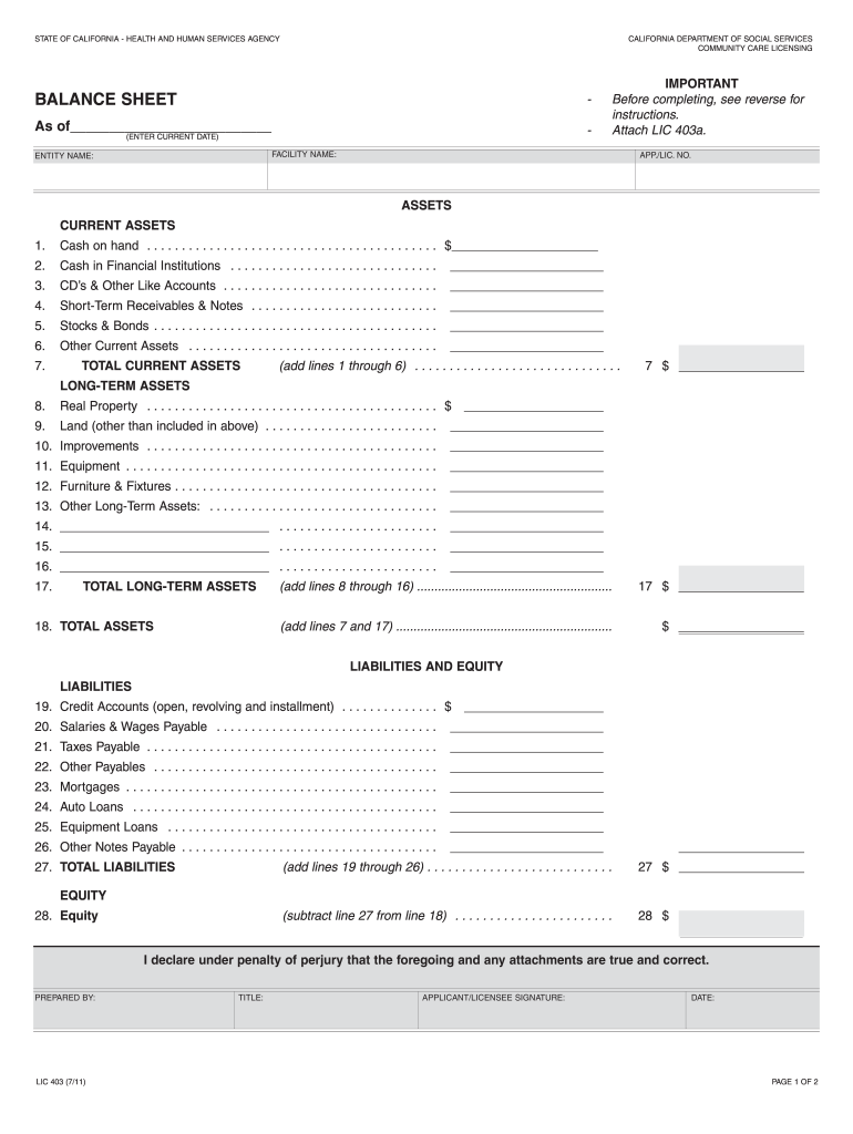 What is a Balanc Sheet  Form