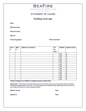 Statement of Values Insurance Excel Template  Form