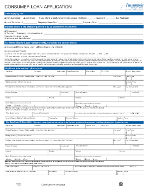 Consumer Loan Application Form