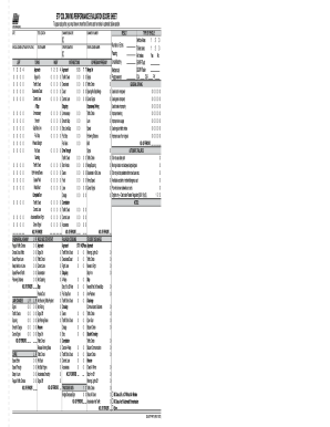 Driving Performance Evaluation Score Sheet