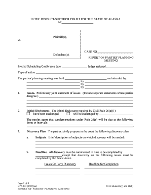 Civ 203 DOC  Form