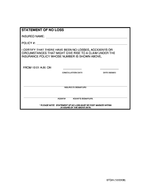 Printable No Loss Statement  Form