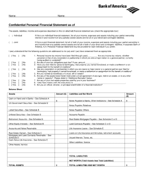 Personal Financial Statement Bank of America  Form