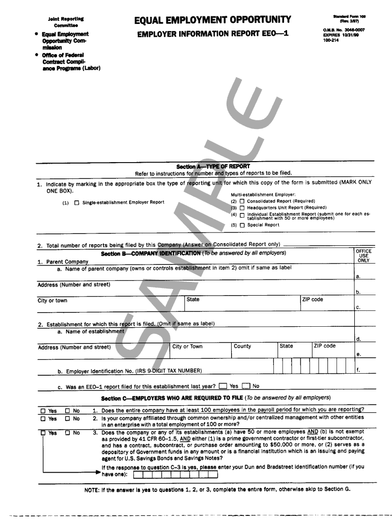 EEO 1 Sample Form