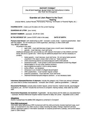 Casa Court Report Example  Form