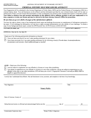  Criminal History Self Disclosure Affidavit 2019-2024