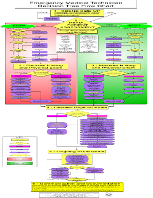 Emt Patient Assessment Flow Chart  Form