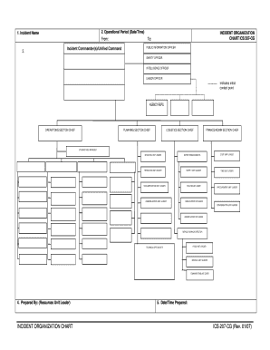 Incident Command Structure Template  Form