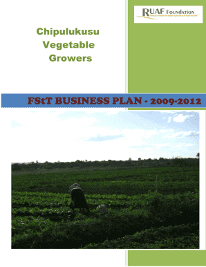 Tomato Business Plan PDF  Form