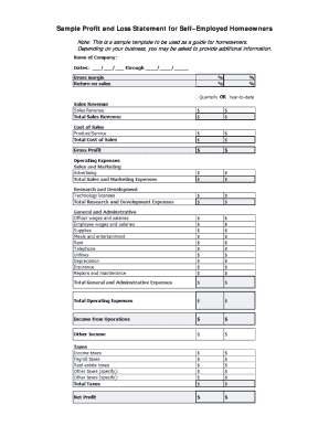 Sample Profit and Loss Statement for SelfEmployed Borrowers  Form