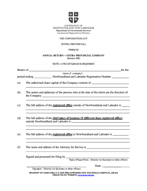 Registry of Companies Nl  Form