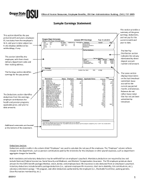 Earning Statement  Form