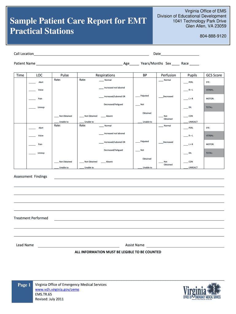 Patient Care Report Examples  Form