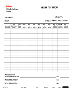 Form Megger Test