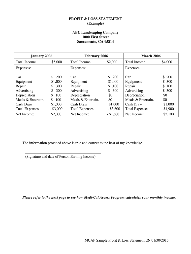 California Profit Loss Statement  Form