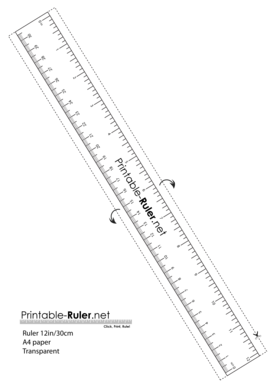Ruler 12in 30cm A4 Transparent  Form