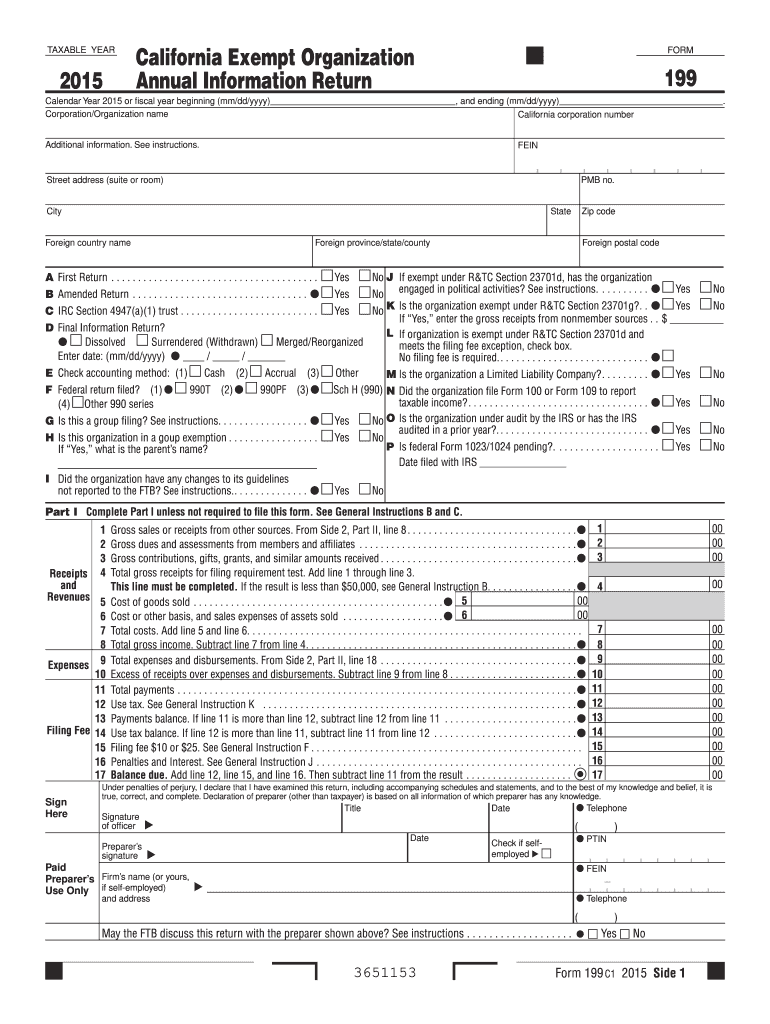  199 Form 2019