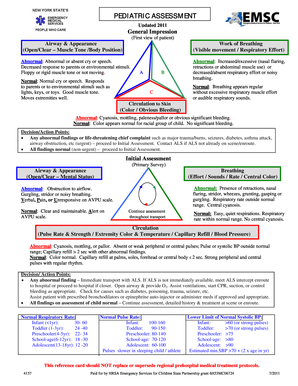 Pediatric Assessment Triangle 7 Health Ny  Form
