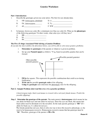 Genetics Worksheet  Form