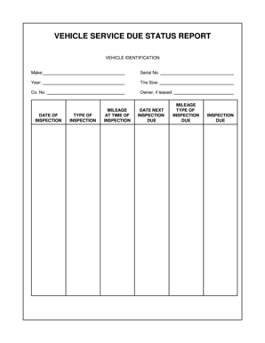 Vehicle Service Due Status Report  Form