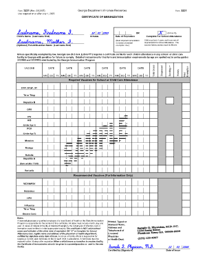 Georgia Immunization Form