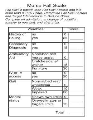 Morse Fall Scale  Form