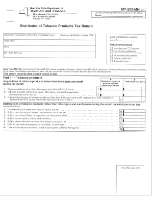 Mt 203  Form