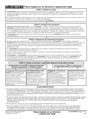 Fl 107 Info S  Form