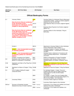 Official Form 101