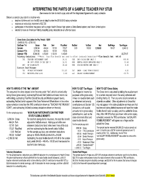 Teacher Paystub  Form