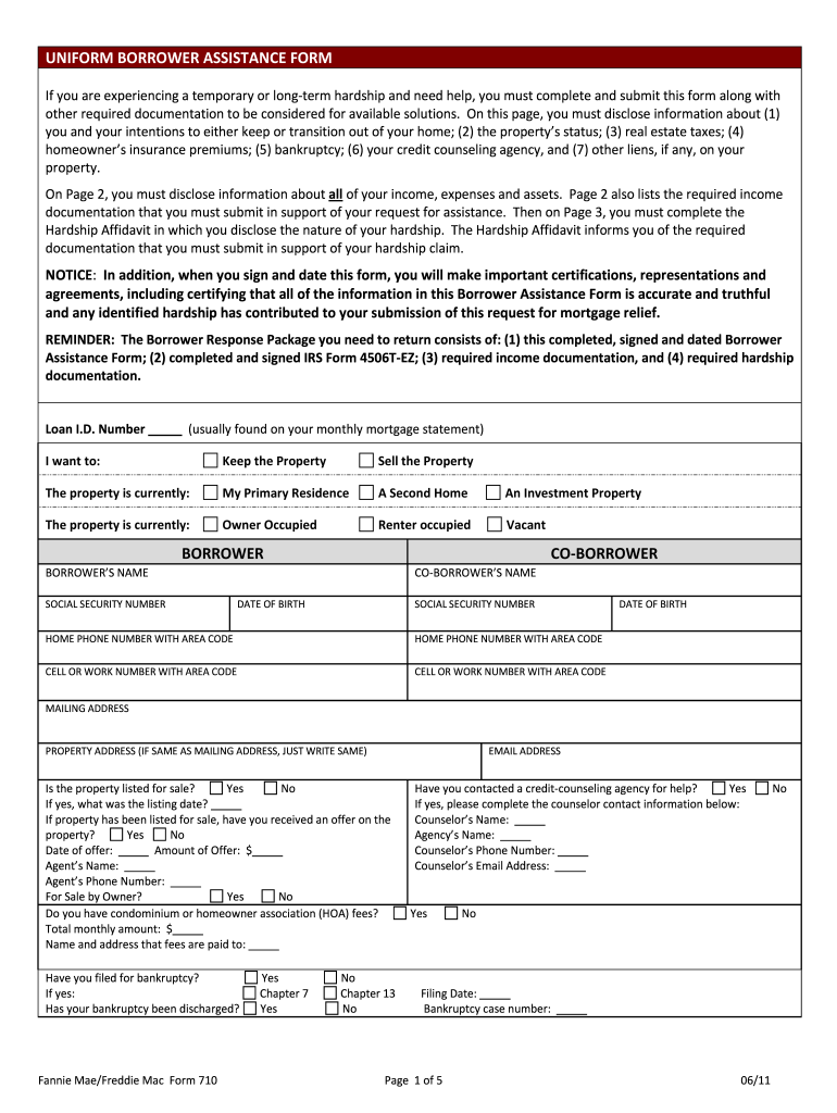 Borrower Assistance Form